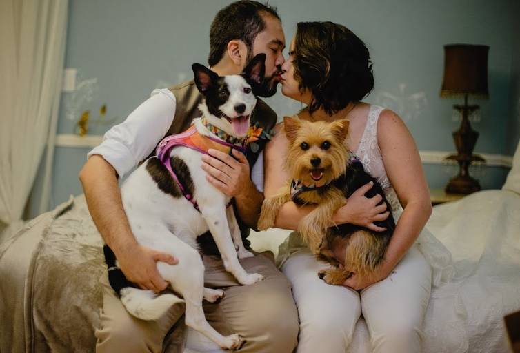 noiva e pets