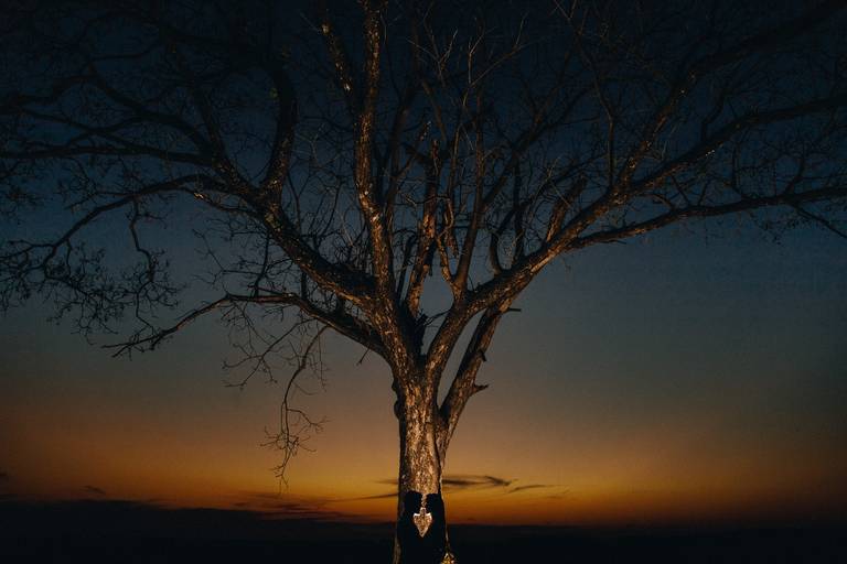 melhores fotos de Elisson Andrade, fotógrafo de casamento, em 2017
