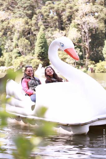 Book dos 15 Laura Falcoski, dinarci borges, staf flashtop gramado Drone imagens aéreas