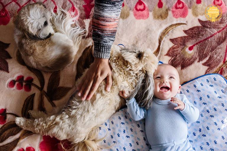 pai brincando com o filho e as cachorras