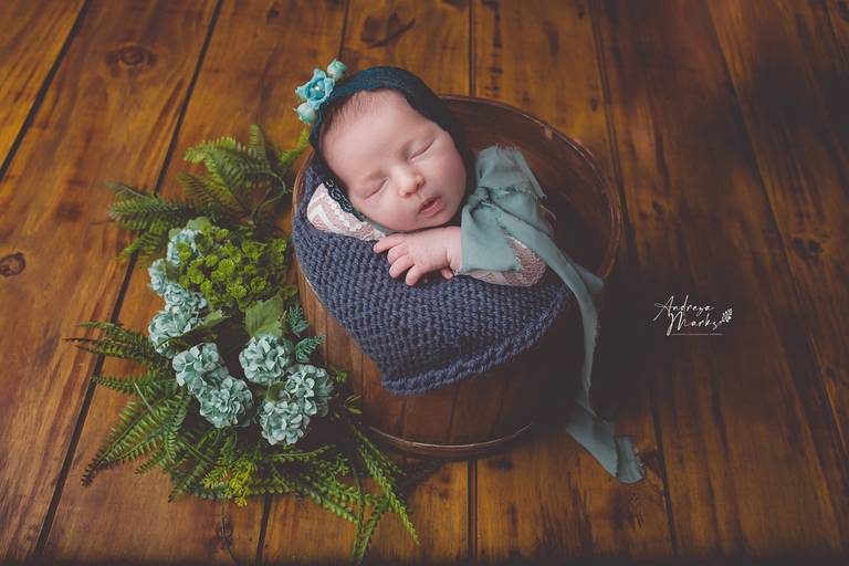 pose no baldinho pose de queixinho cenario para newborn pose no baldinho book de recem nascido book newborn estudio para newborn 