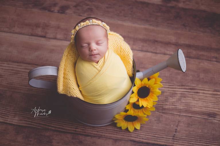 fotografia newborn Fotografia de recem nascido ensaio fotografico newborn ensaio fotografico recem nascido 