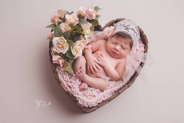 newborn props coração newborn para menina newborn rosa meu mundo rosa book de recem anscido book newborn 