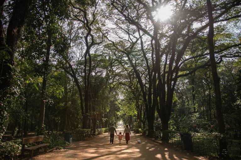 Pai, filha pequena, mãe e cachorro da família caminhando sob as grandes árvores da entrada do Parque do Piqueri