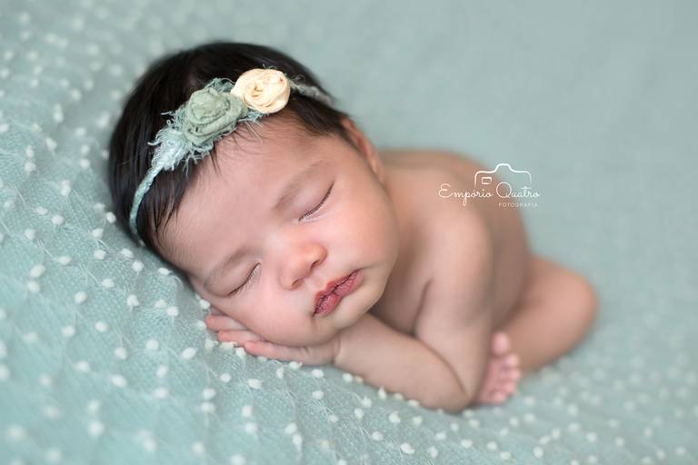 ensaio newborn sp pose coala