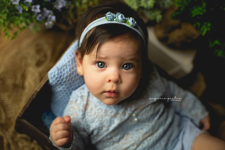 fotografia de bebe no abc sp