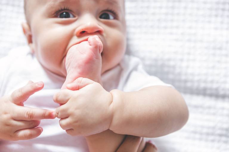 acompanhamento mensal são paulo
