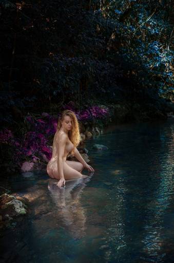 Ensaio de Nu Artístico em Florianopolis. Projeto Floresta Nua de autoria do fotografo Ricardo Zanetta. Beleza natural, empoderamento,poesia, encantamento, naturalidade, liberdade, encontro com a natureza, vida livre, inspiração rainha Aslaug Viking.