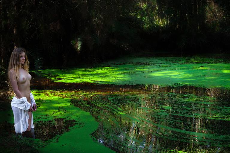 Ensaio de Nu Artístico em Florianopolis. Projeto Floresta Nua de autoria do fotografo Ricardo Zanetta. Beleza natural, empoderamento,poesia, encantamento, naturalidade, liberdade, encontro com a natureza, vida livre, inspiração rainha Aslaug Viking.