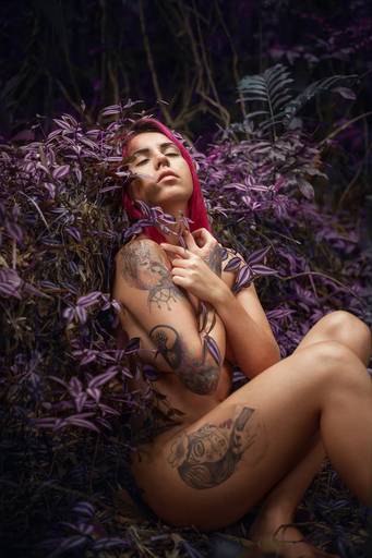 Ensaio de Nu Artístico em Florianopolis. Projeto Floresta Nua de autoria do fotografo Ricardo Zanetta. Beleza natural, empoderamento,poesia, encantamento, naturalidade, liberdade, encontro com a natureza, vida livre, inspiração rainha Aslaug Viking.