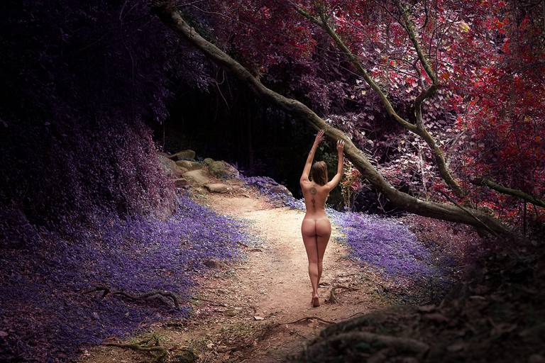 Ensaio de Nu Artístico em Florianopolis. Projeto Floresta Nua de autoria do fotografo Ricardo Zanetta. Beleza natural, empoderamento,poesia, encantamento, naturalidade, liberdade, encontro com a natureza, vida livre, inspiração rainha Aslaug Viking.