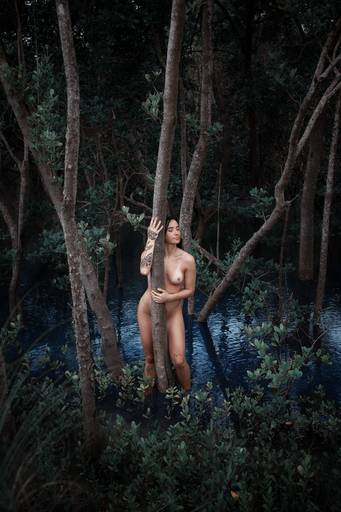 Ensaio de Nu Artístico em Florianopolis. Projeto Floresta Nua de autoria do fotografo Ricardo Zanetta. Beleza natural, empoderamento,poesia, encantamento, naturalidade, liberdade, encontro com a natureza, vida livre, inspiração rainha Aslaug Viking.