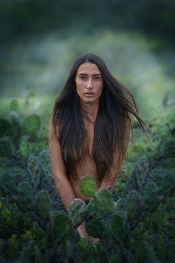 Ensaio de Nu Artístico em Florianopolis. Projeto Floresta Nua de autoria do fotografo Ricardo Zanetta. Beleza natural, empoderamento,poesia, encantamento, naturalidade, liberdade, encontro com a natureza, vida livre, inspiração rainha Aslaug Viking.