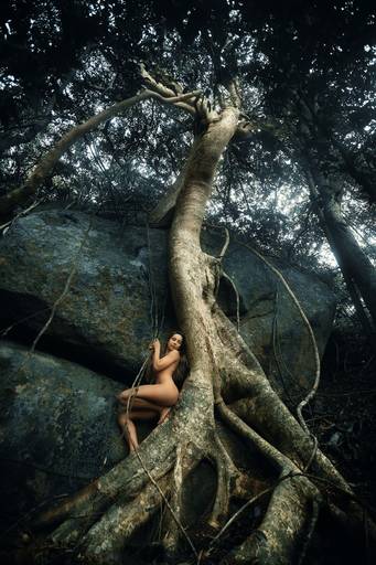 Ensaio de Nu Artístico em Florianopolis. Projeto Floresta Nua de autoria do fotografo Ricardo Zanetta. Beleza natural, empoderamento,poesia, encantamento, naturalidade, liberdade, encontro com a natureza, vida livre, inspiração rainha Aslaug Viking.