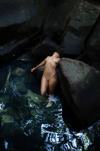 Ensaio de Nu Artístico em Florianopolis. Projeto Floresta Nua de autoria do fotografo Ricardo Zanetta. Beleza natural, empoderamento,poesia, encantamento, naturalidade, liberdade, encontro com a natureza, vida livre, inspiração rainha Aslaug Viking.