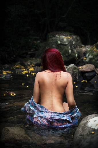 Ensaio de Nu Artístico em Florianopolis. Projeto Floresta Nua de autoria do fotografo Ricardo Zanetta. Beleza natural, empoderamento,poesia, encantamento, naturalidade, liberdade, encontro com a natureza, vida livre, inspiração rainha Aslaug Viking.