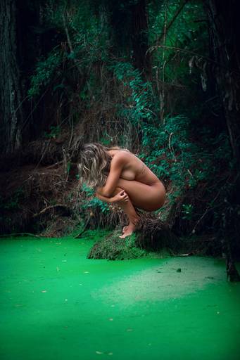 Ensaio de Nu Artístico em Florianopolis. Projeto Floresta Nua de autoria do fotografo Ricardo Zanetta. Beleza natural, empoderamento,poesia, encantamento, naturalidade, liberdade, encontro com a natureza, vida livre, inspiração rainha Aslaug Viking.