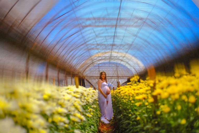 gestante flores holambra