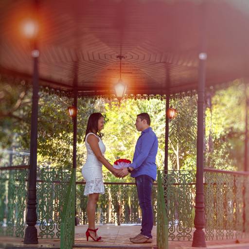 Pré wedding Holambra