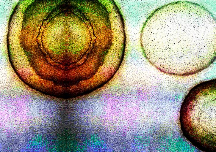 LDH P1 009 - Projeto 