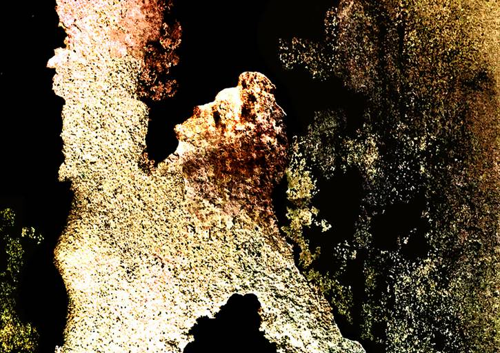 LDH P1 010 - Projeto 