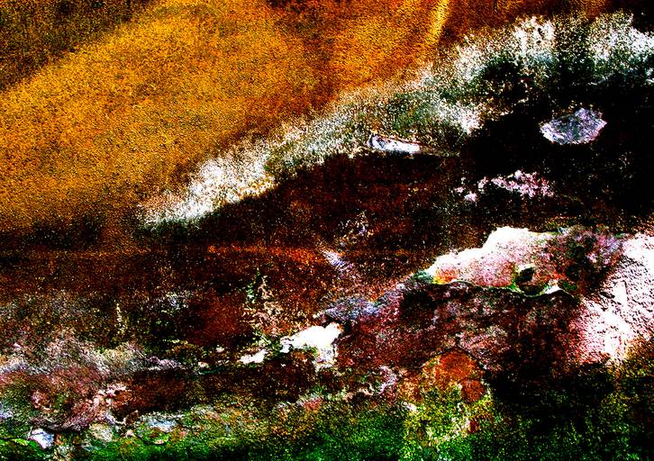 LDH P1 007 - Projeto 