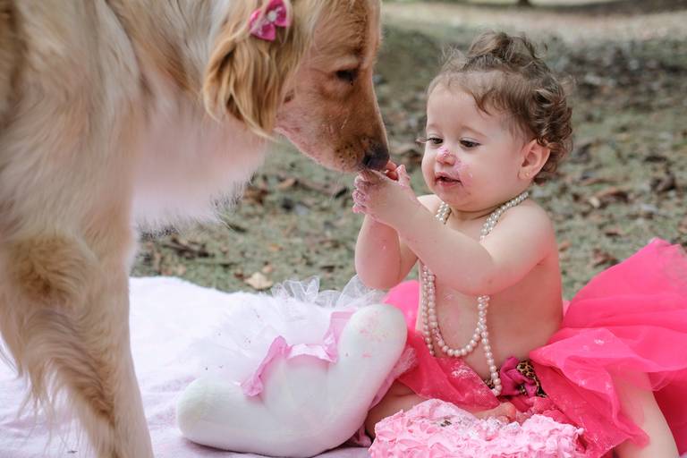 menina brincando com bolo e cachorro