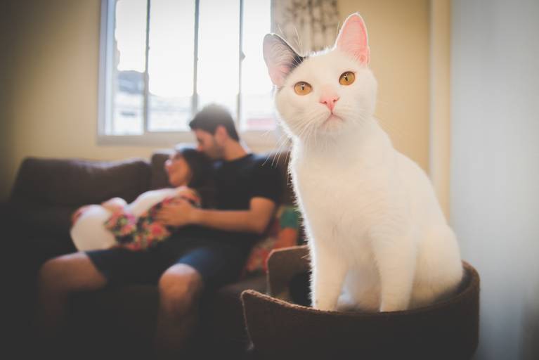 Ensaio Gestante
Ensaio em Casa
LifeStyle
Juliana Madalosso Fotografia