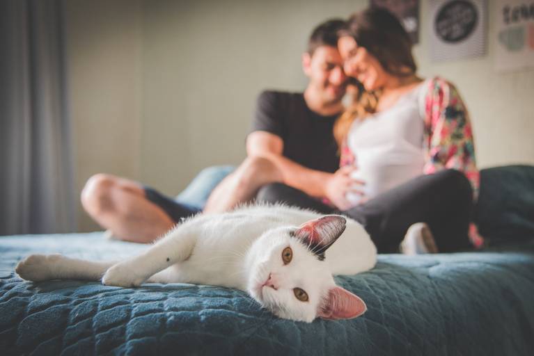 Ensaio Gestante
Ensaio em Casa
LifeStyle
Juliana Madalosso Fotografia