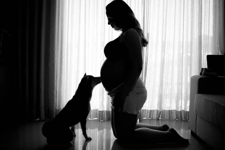 Foto de grávida contra a luz silhueta