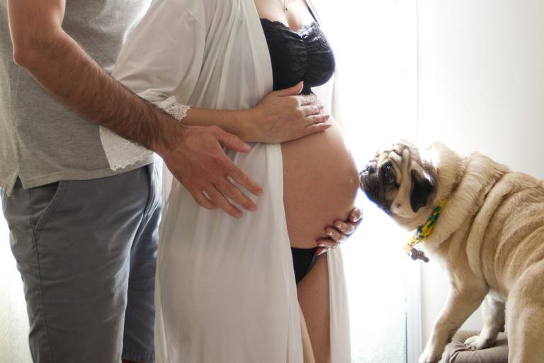 grávida com cachorro