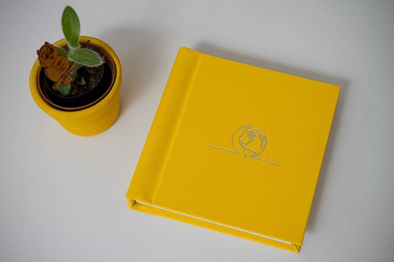 Álbum da quarentena