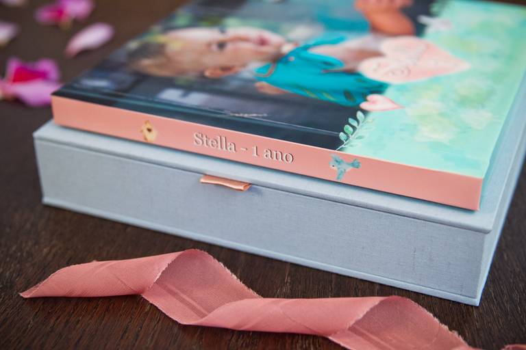 Álbum de fotos festa infantil