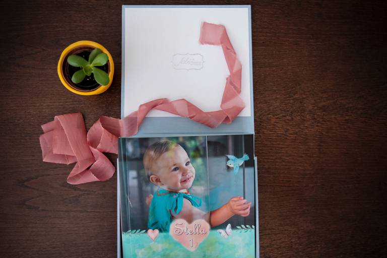 Álbum de fotos festa infantil