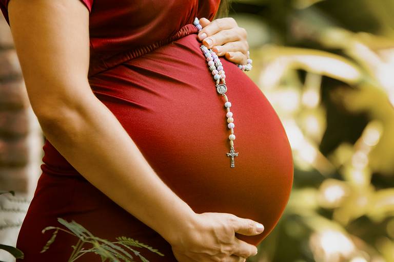 Ensaio Fotográfico de Gestante em Santos Orquidário