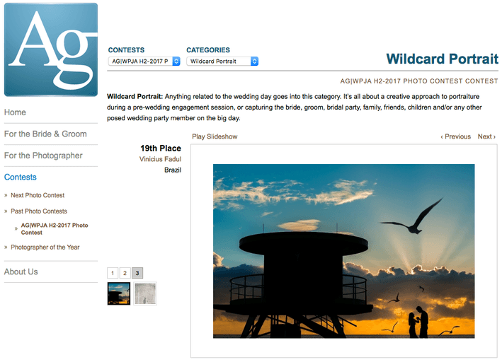 lindas fotos de casamento, esta foto premiada pela AGWPJA entre as melhores fotos de ensaio fotografico pre wedding do mundo que aconteceu em Miami florida que mostra o casal e pássaros ao lado voando