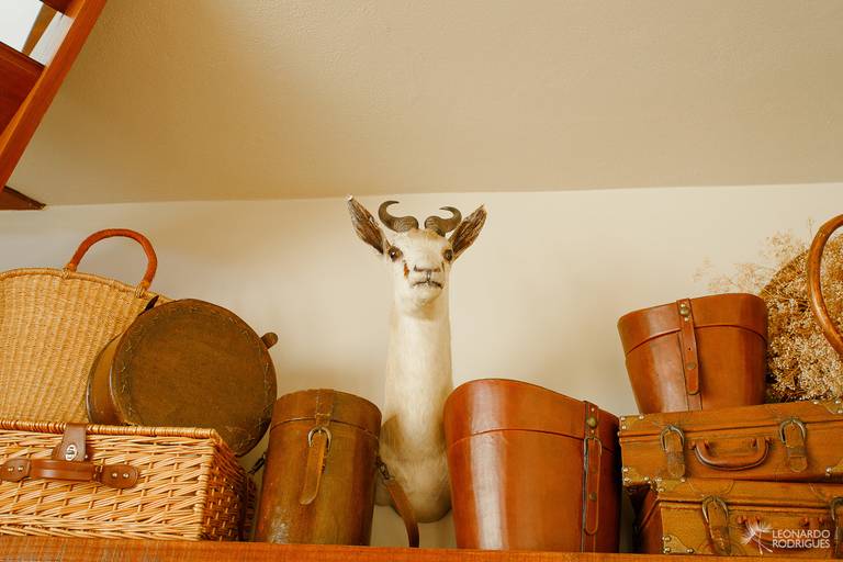 Estalagem st hubertus gramado lago negro fotografo leonardo rodrigues casamento familia evento hotel diaria