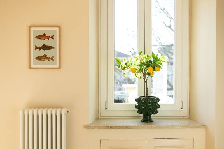 Fotografo ristorante real estate airbnb booking hotel biella luino varese milano lago maggiore fotografo photographer appartamento Servizio fotografico