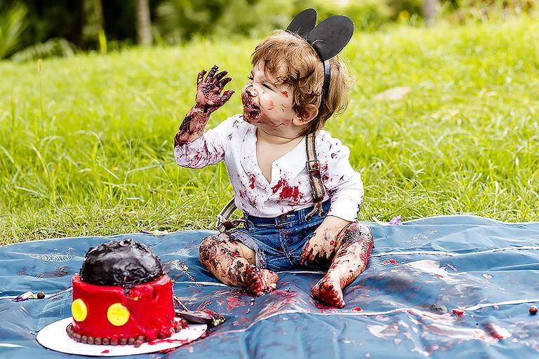 Ensaio família ensaio em jundiaí ensaio no campo bebe ensaio campo ensaio parque 01 anos
