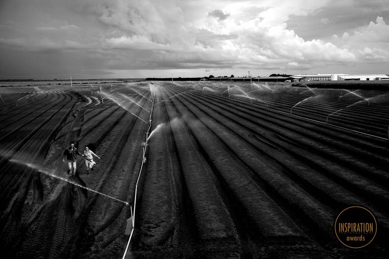 fotografo casamento sp fotografo casamento são paulo santos fotografia de casamento em sp, casamento em maresias, casamento de dia, casamento na praia, fotógrafo de casamento em são paulo, melhores fotógrafos de casamento no Brasil, fotografo