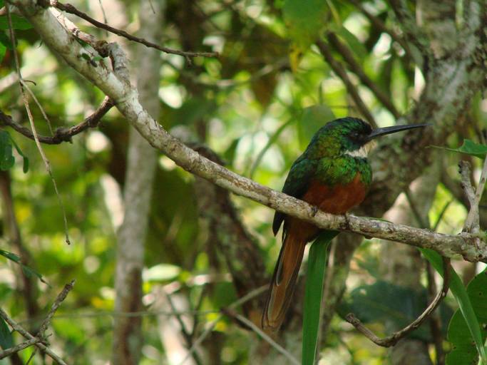 Concurso Fotografia Condomínio Canto das Aguas - set2019
