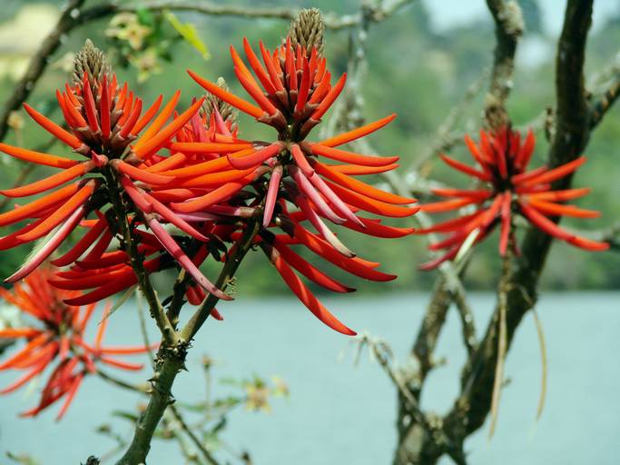 Concurso Fotografia Condomínio Canto das Aguas - set2019