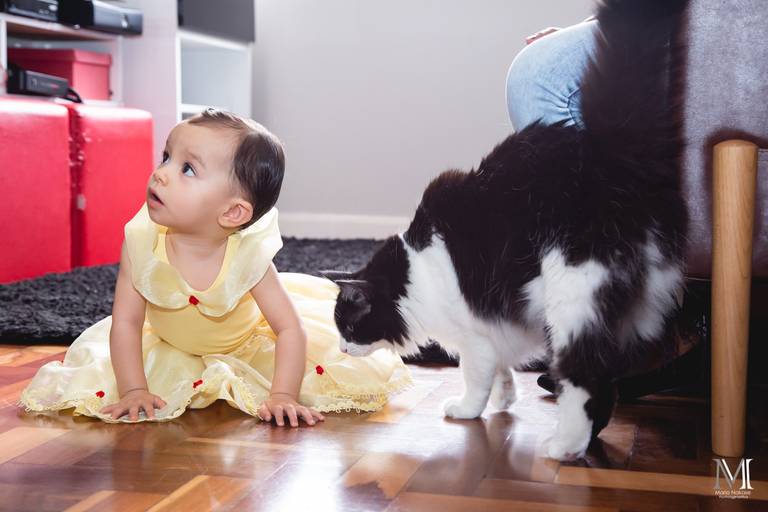 #marionakasefotografia #fotoearte #fotografia #photography #aniversario #fotosdeaniversario #mogidascruzes #sp #salesopolis #fotografo #aurora #recantoparaiso