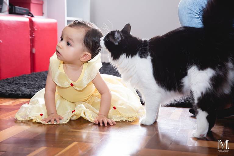 #marionakasefotografia #fotoearte #fotografia #photography #aniversario #fotosdeaniversario #mogidascruzes #sp #salesopolis #fotografo #aurora #recantoparaiso