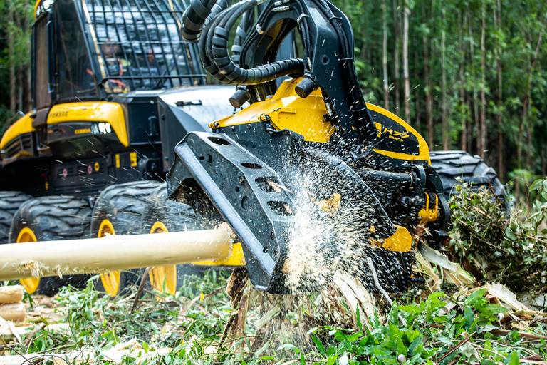 Road Show Ponsse
#marionakasefotografia #marionakase #fotografia #fotografo #ponsse #maquinasagricolas #fotodeproduto #fotografiaprofissional #cobra #elephant 