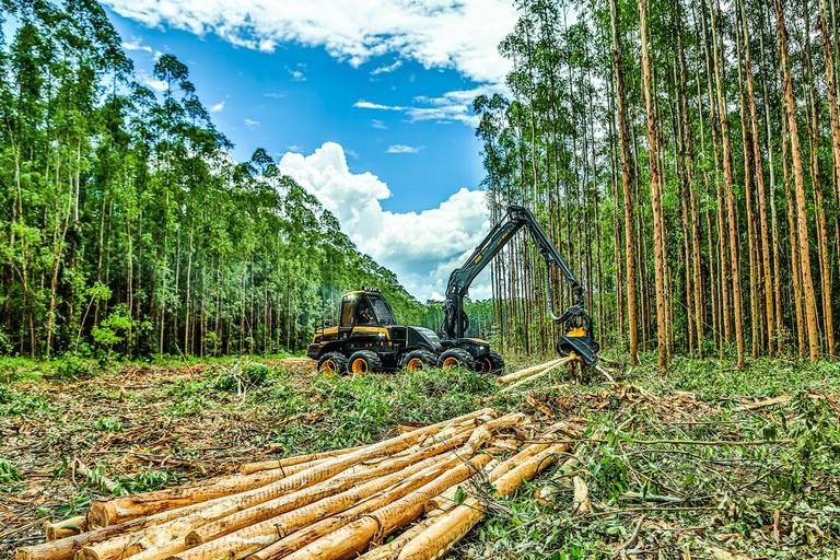 Road Show Ponsse
#marionakasefotografia #marionakase #fotografia #fotografo #ponsse #maquinasagricolas #fotodeproduto #fotografiaprofissional #cobra #elephant 