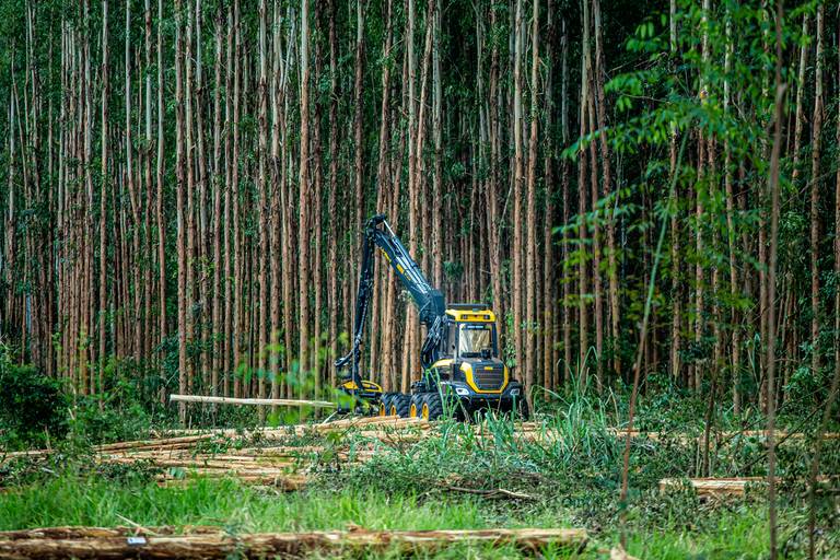 Road Show Ponsse
#marionakasefotografia #marionakase #fotografia #fotografo #ponsse #maquinasagricolas #fotodeproduto #fotografiaprofissional #cobra #elephant 
