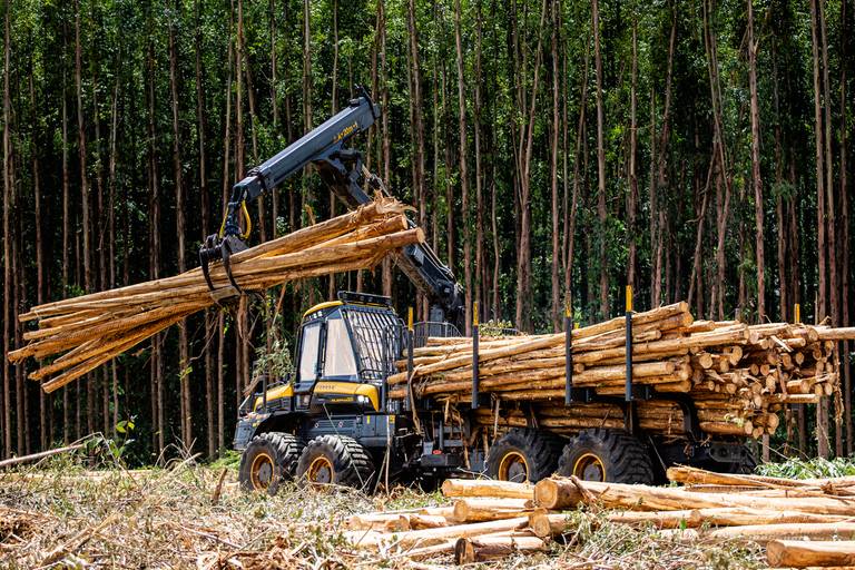 Road Show Ponsse
#marionakasefotografia #marionakase #fotografia #fotografo #ponsse #maquinasagricolas #fotodeproduto #fotografiaprofissional #cobra #elephant 