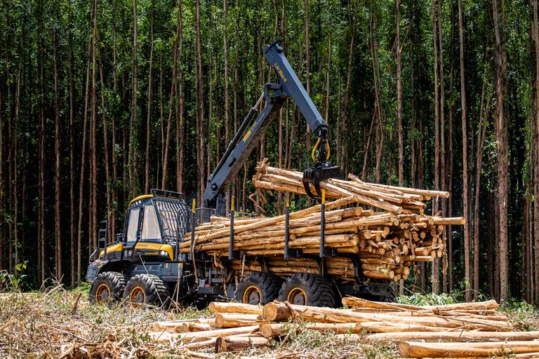Road Show Ponsse
#marionakasefotografia #marionakase #fotografia #fotografo #ponsse #maquinasagricolas #fotodeproduto #fotografiaprofissional #cobra #elephant 