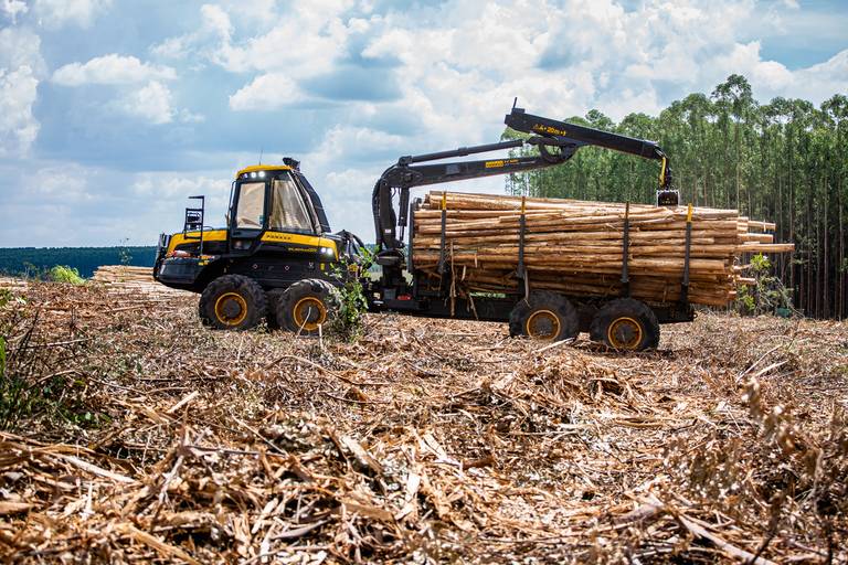 Road Show Ponsse
#marionakasefotografia #marionakase #fotografia #fotografo #ponsse #maquinasagricolas #fotodeproduto #fotografiaprofissional #cobra #elephant 